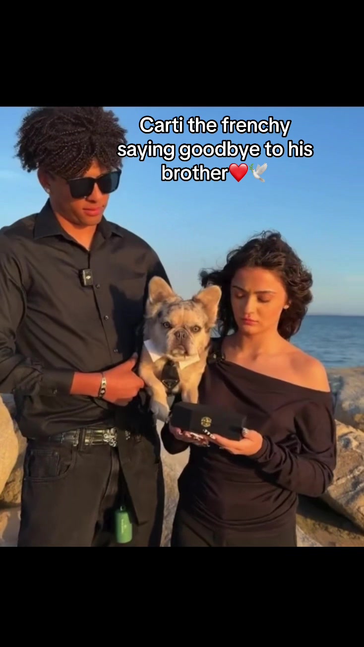@prymrrclips