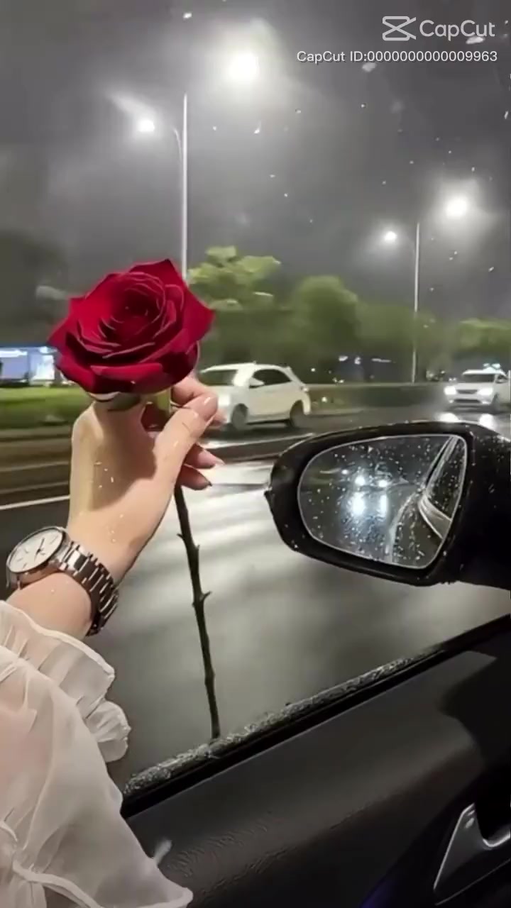 @عاشقة_الورد…🪽