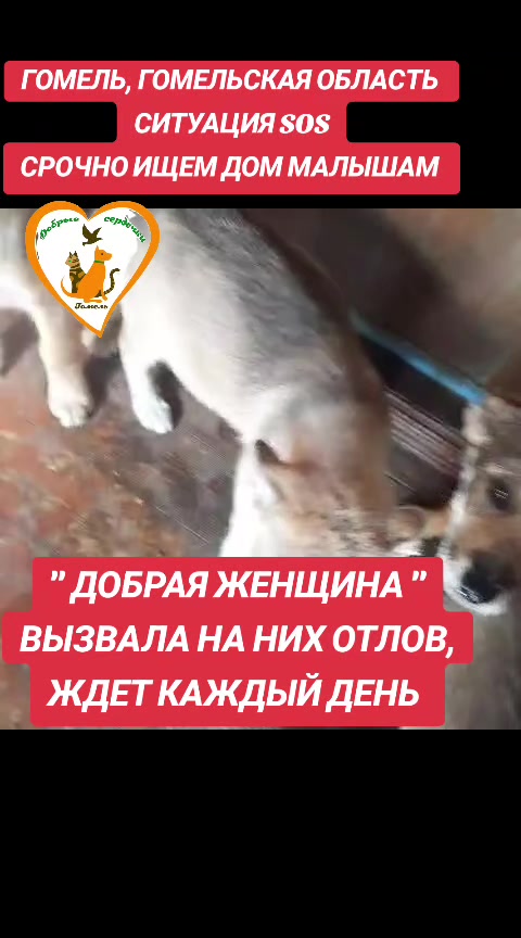 @Марина