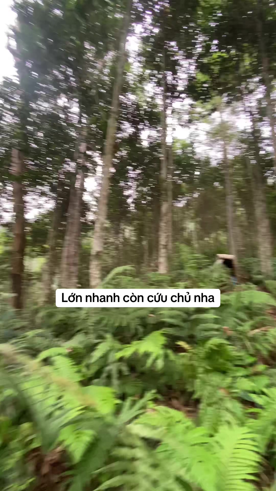 @Phượng ớt 💚