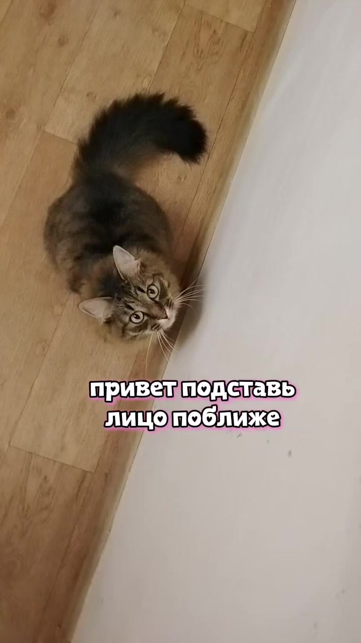 @Марсик😺💖