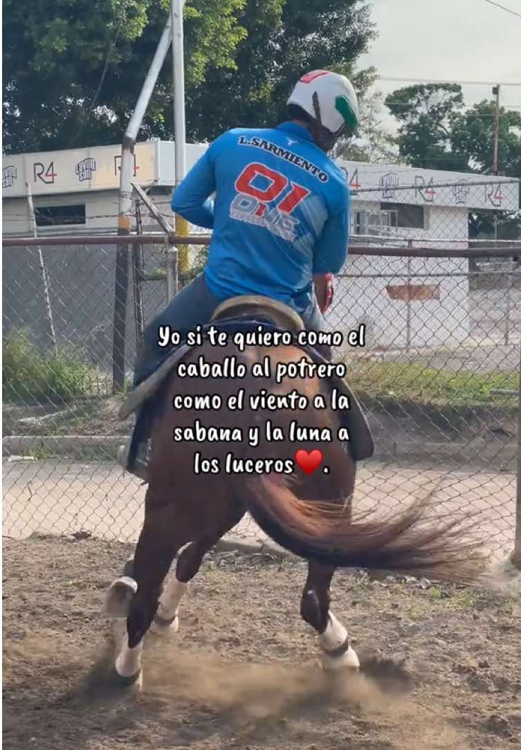 @@Coleollano_tradicion