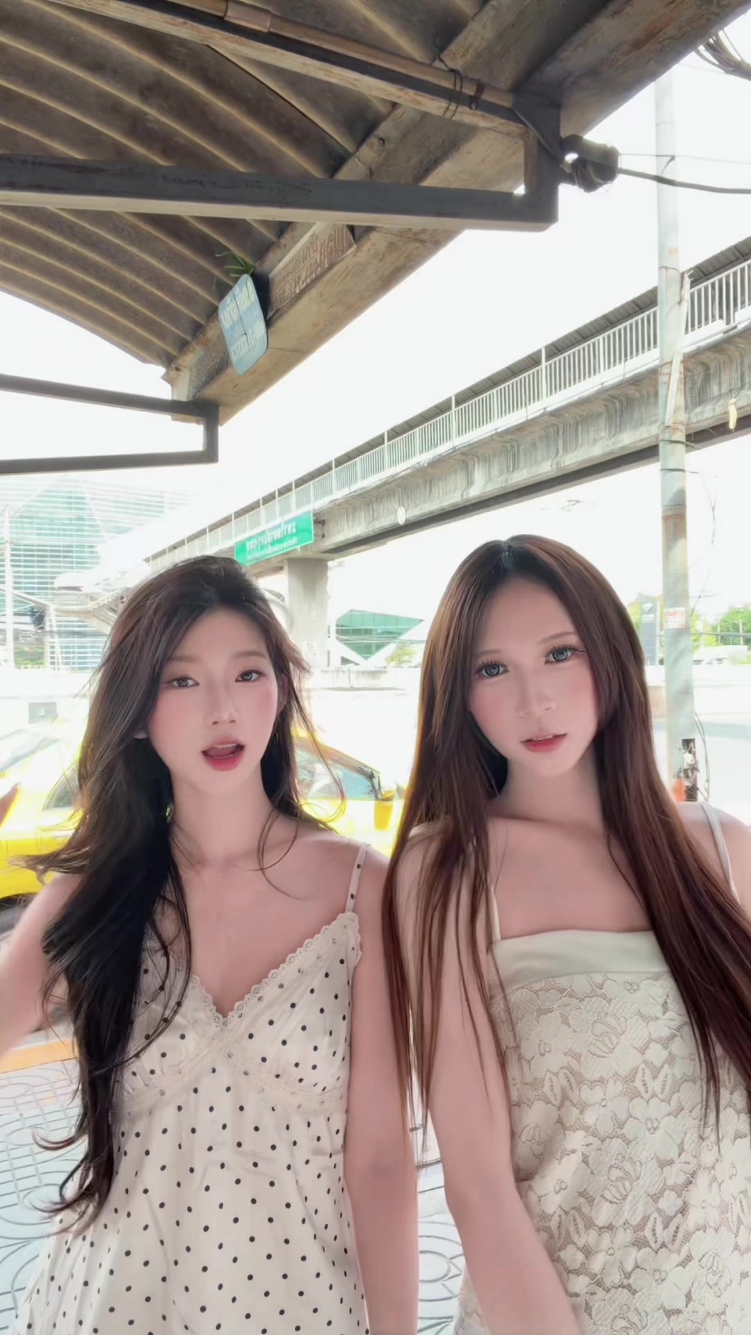 @ใบเฟริน