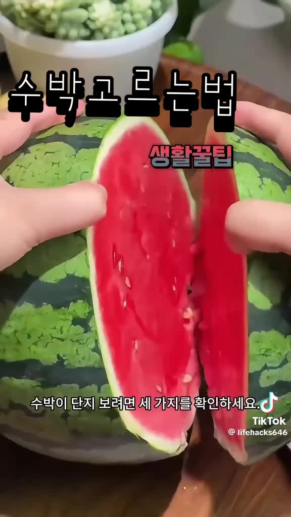 @금은희