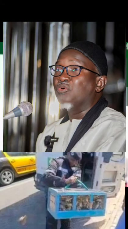 @Galass Bamba Mbacke