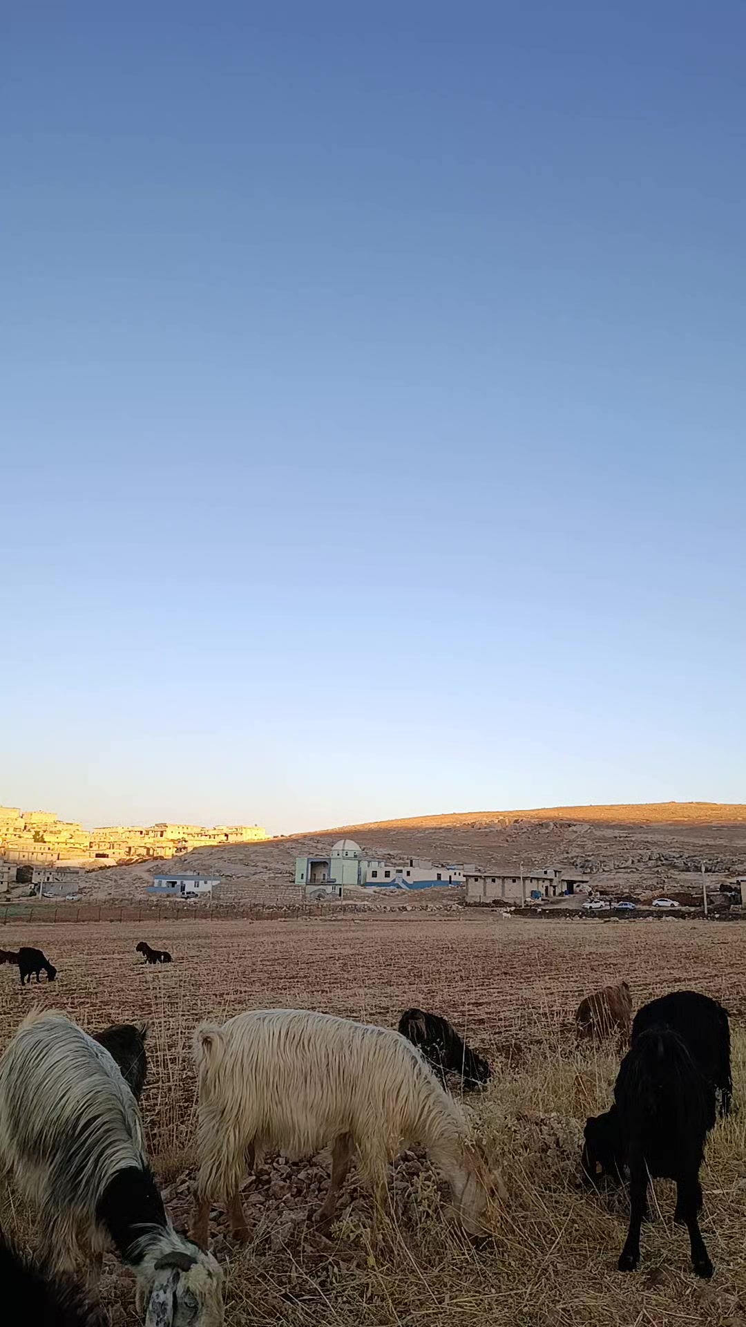 @İbrahim ığnak