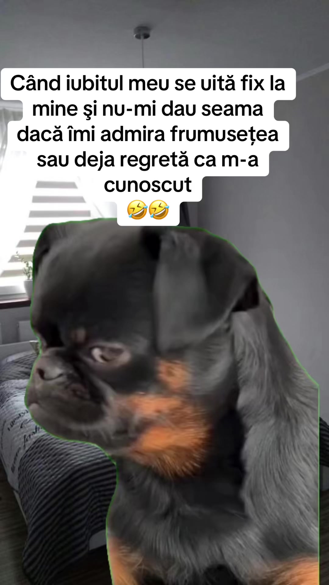 @*๐ข๐ช๐ซ๐ป๐๐ค๐ฒ๐ฉ