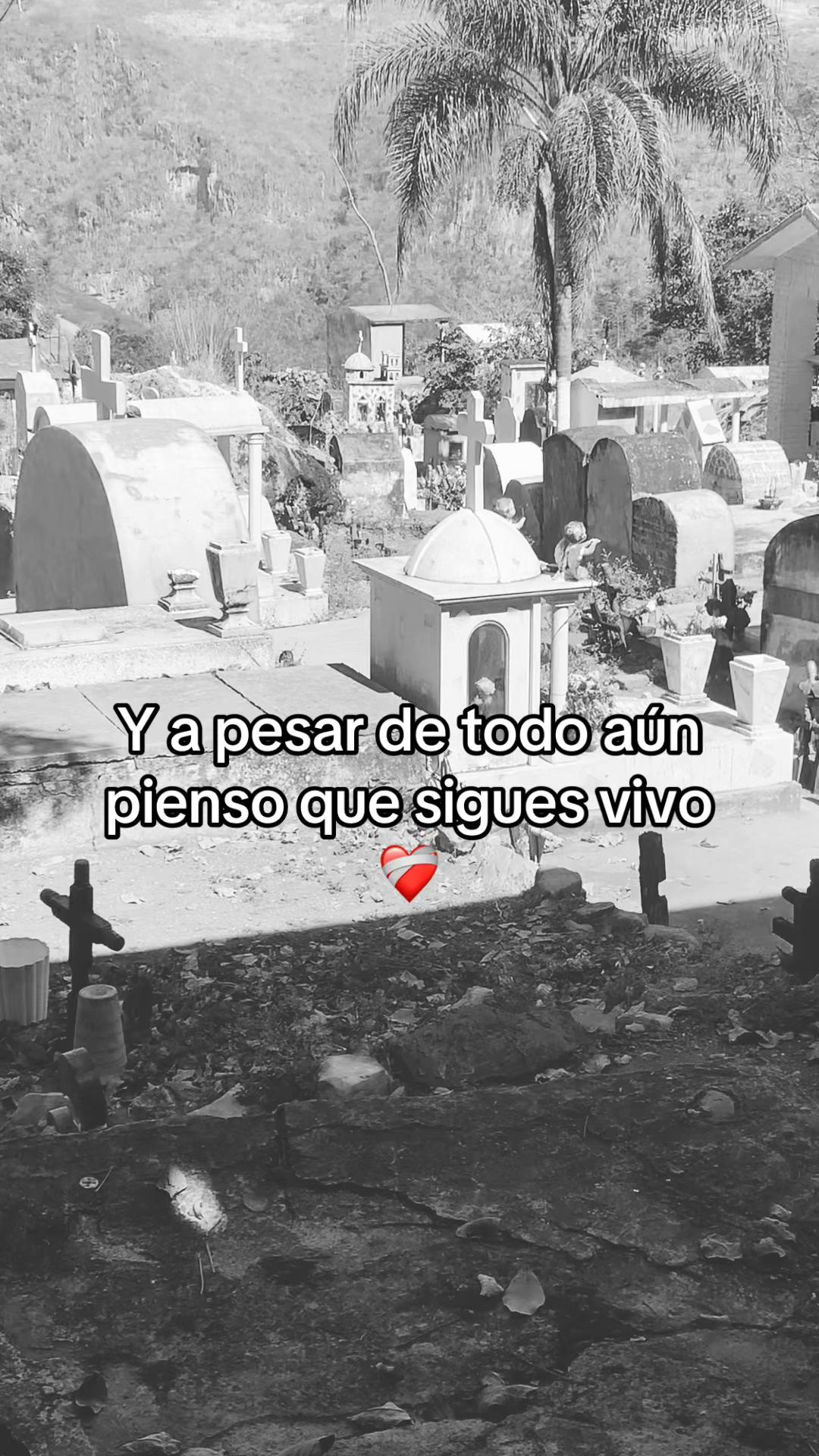 @Yazmin 💫