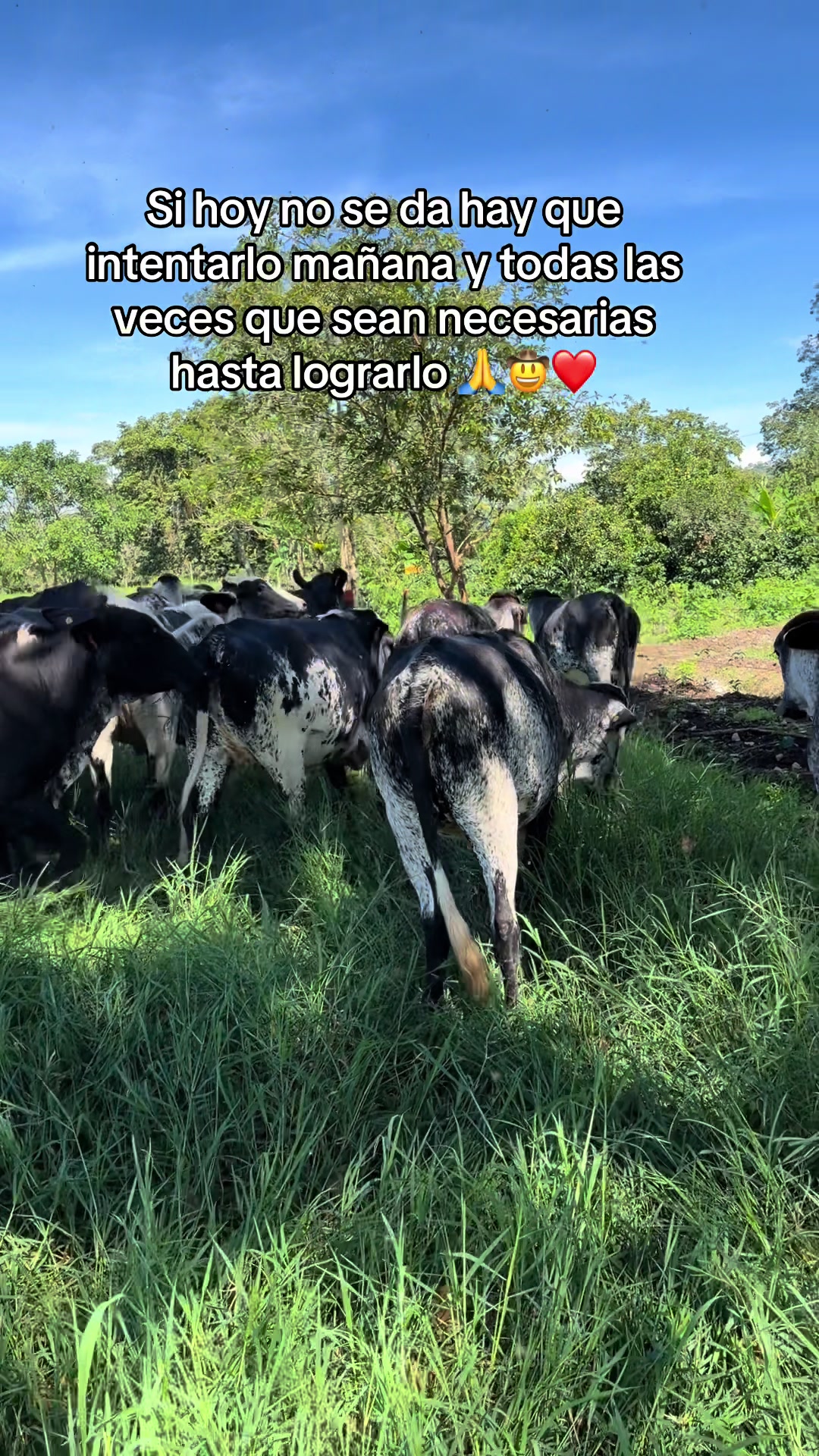 @Jhonatan Cabrera Var