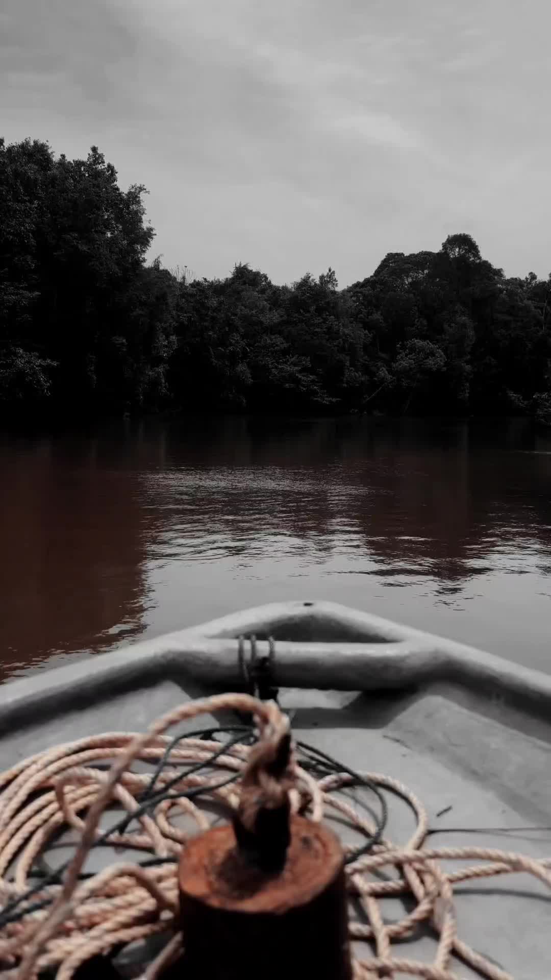 @Aɳ&iota;&rho;JOHOR