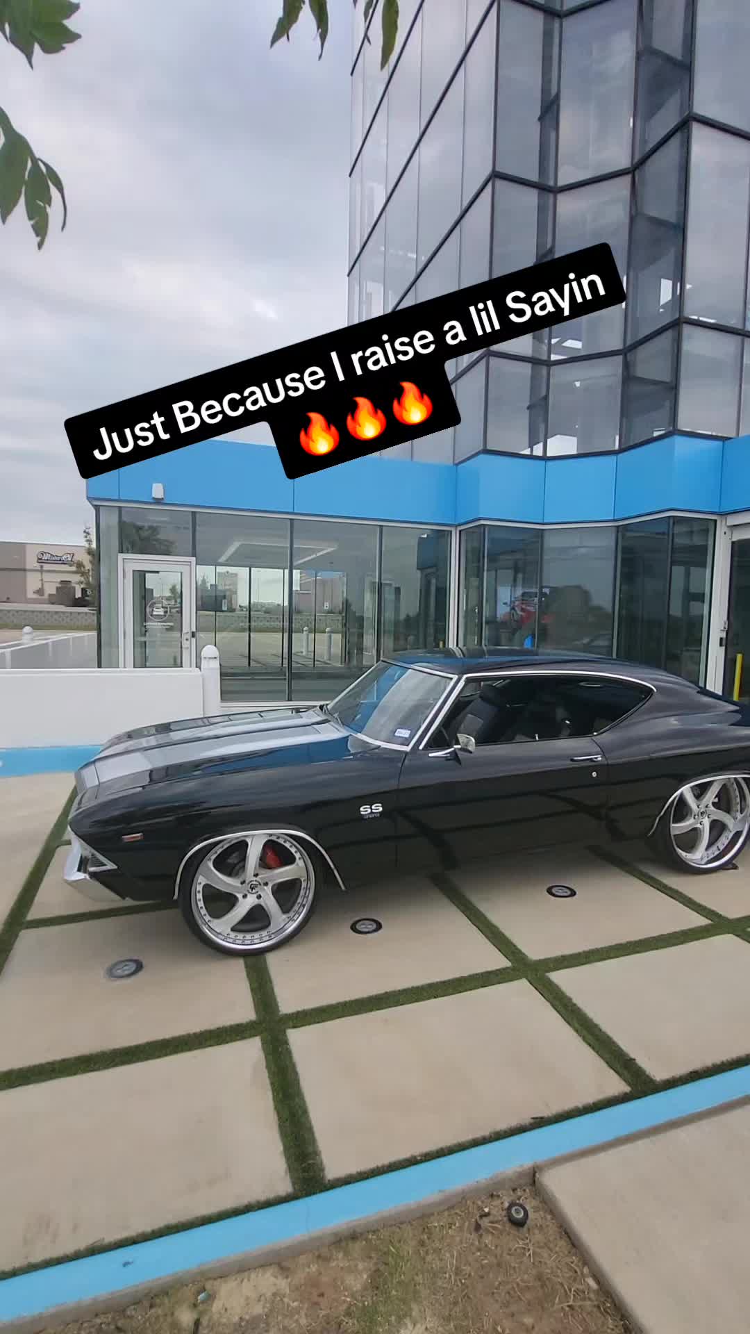 @MoMoney