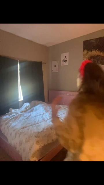 @Brookebackup