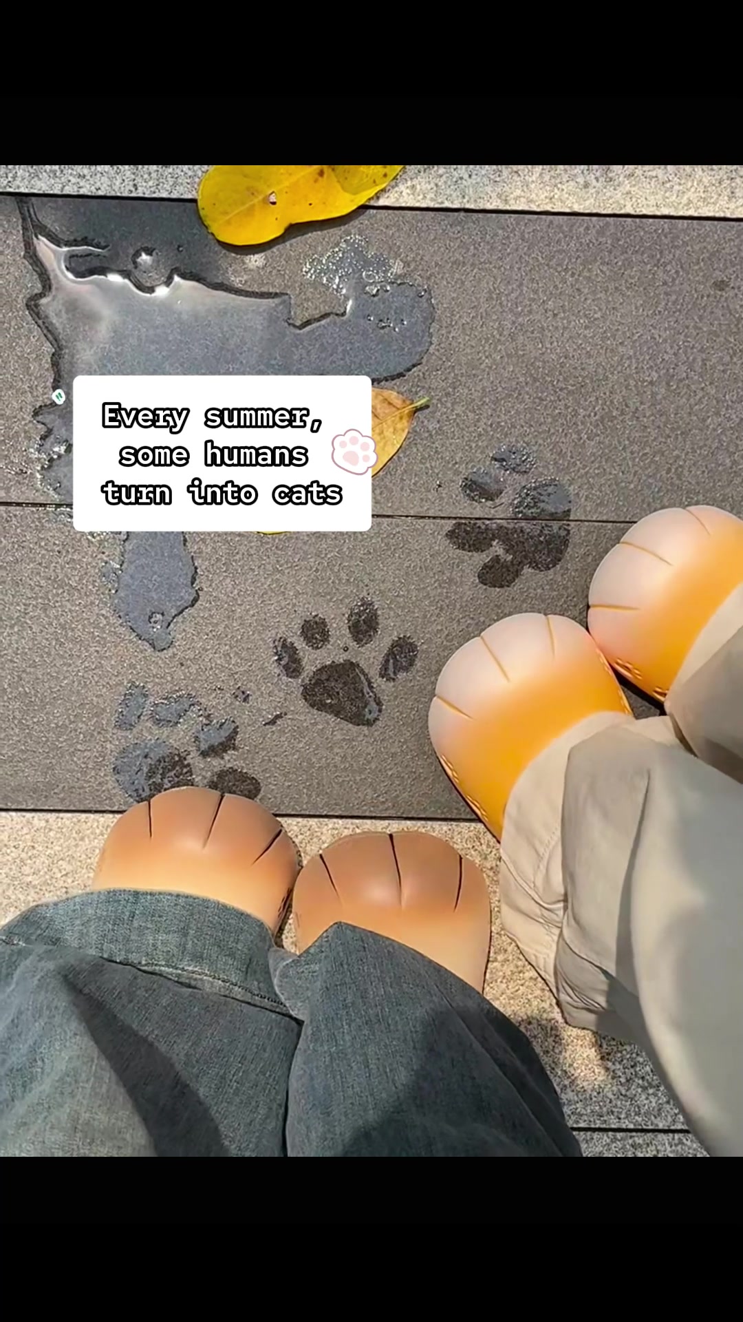@MoewaiiCat
