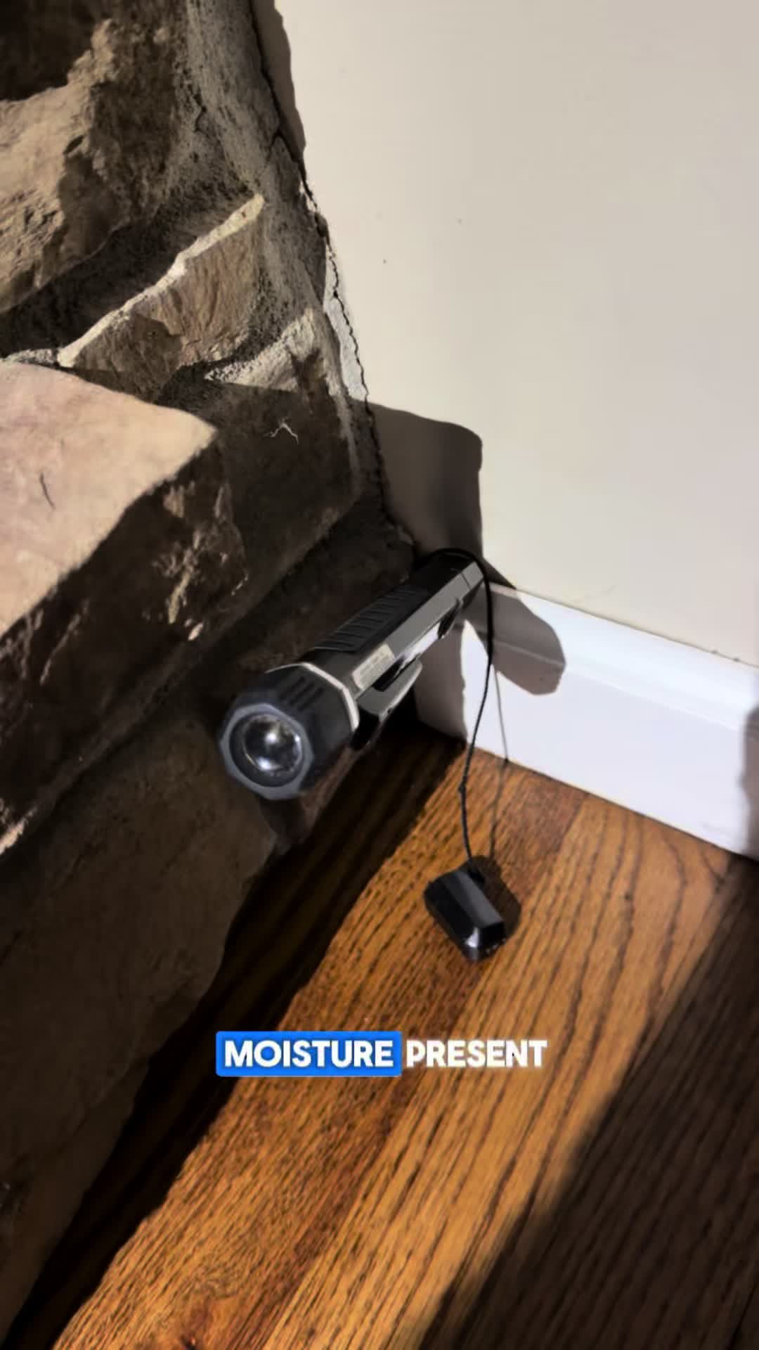 @Long Island Mold Guy