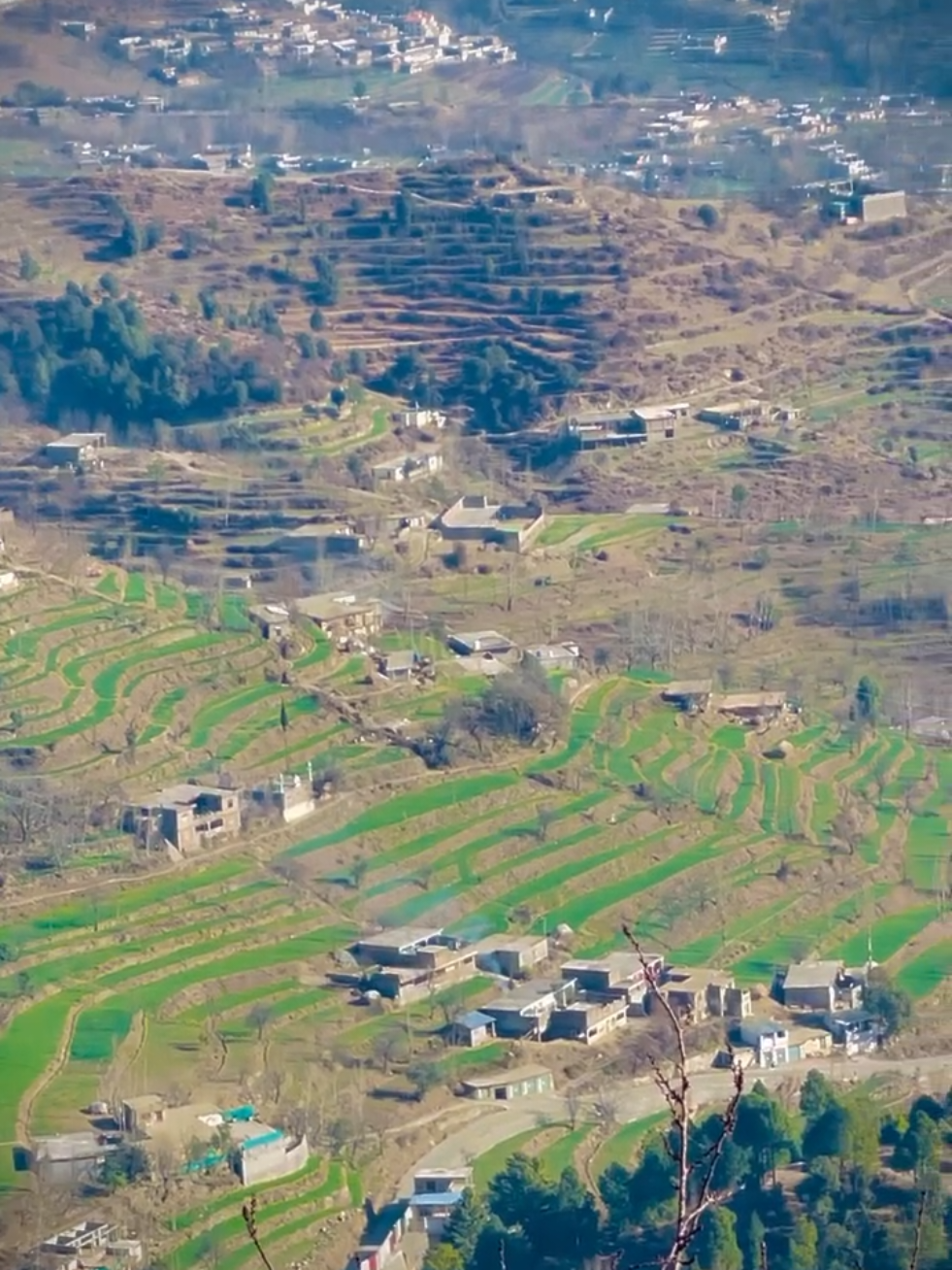 @🌲غر سنے 🌲