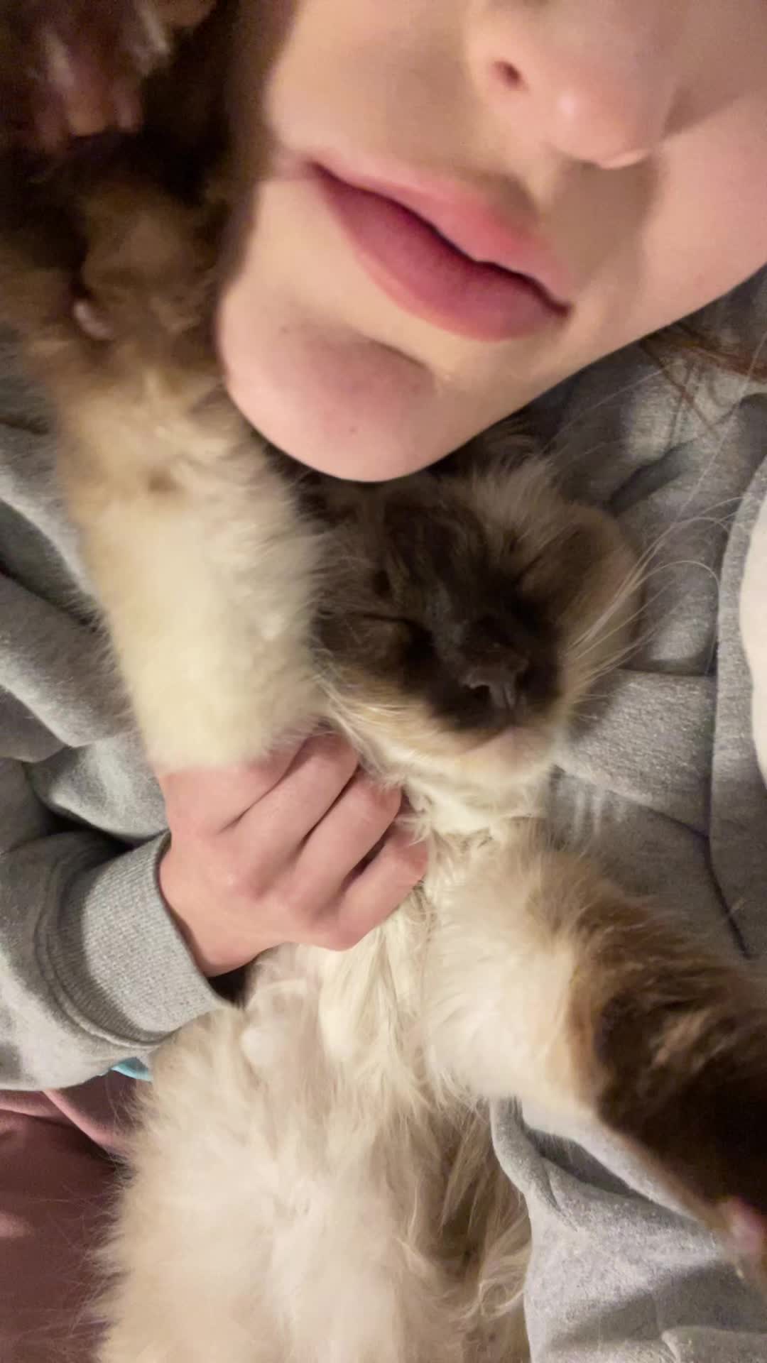 @brunokitten