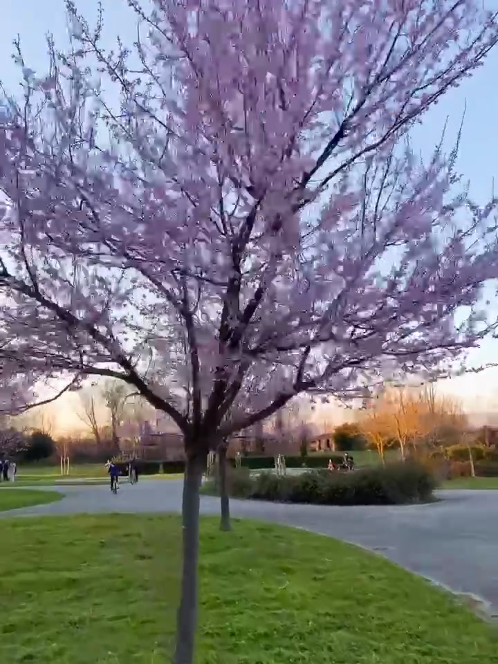 @italyiana