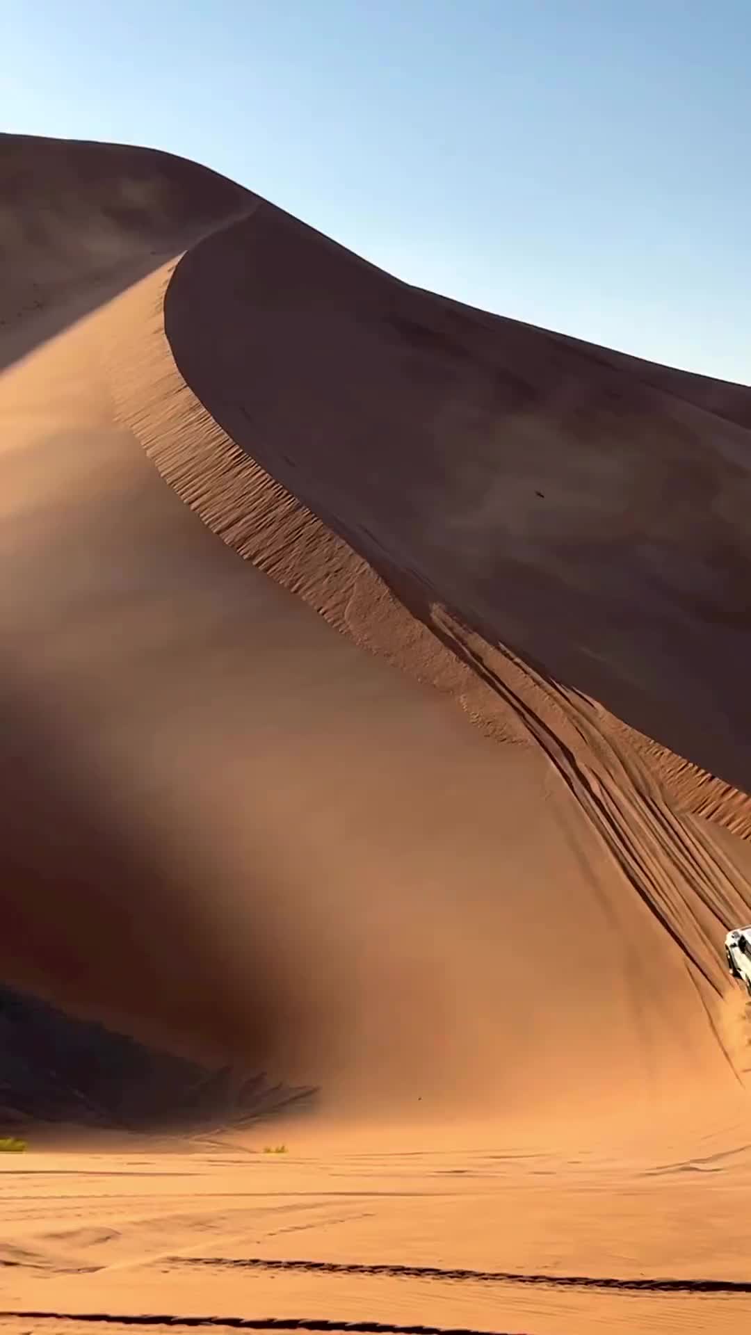 @Mirali7994🧔🏻♂️