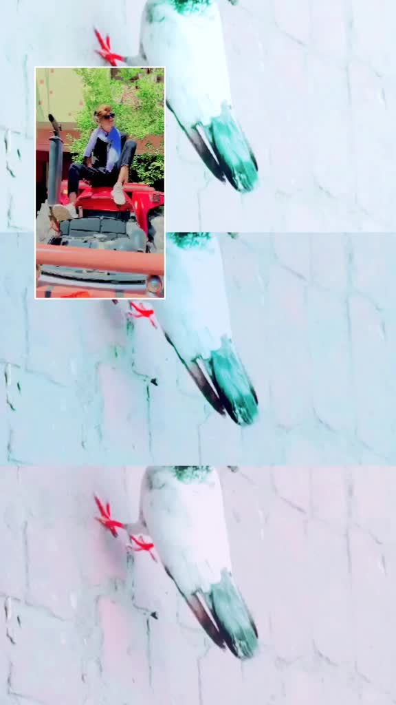 @Sahjad       Ansari