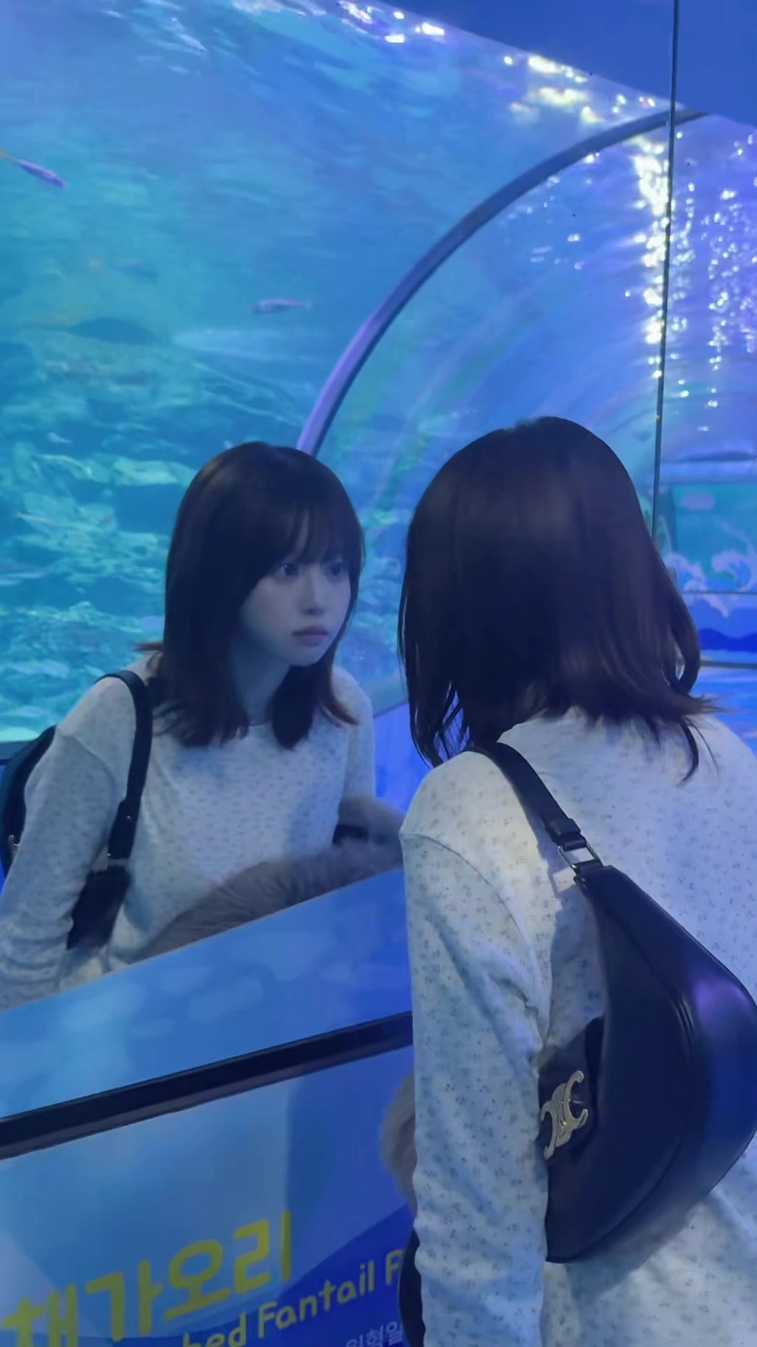 @ちせ (치세)
