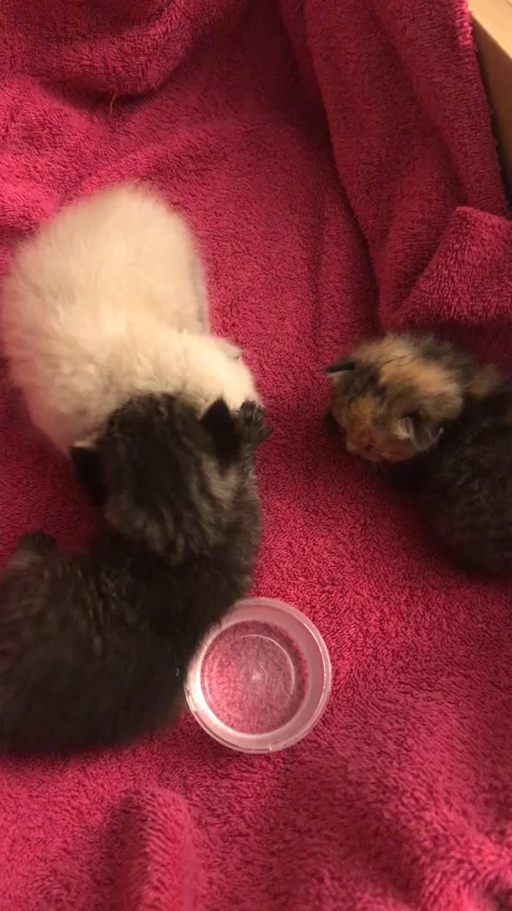 @Matilda & Friends