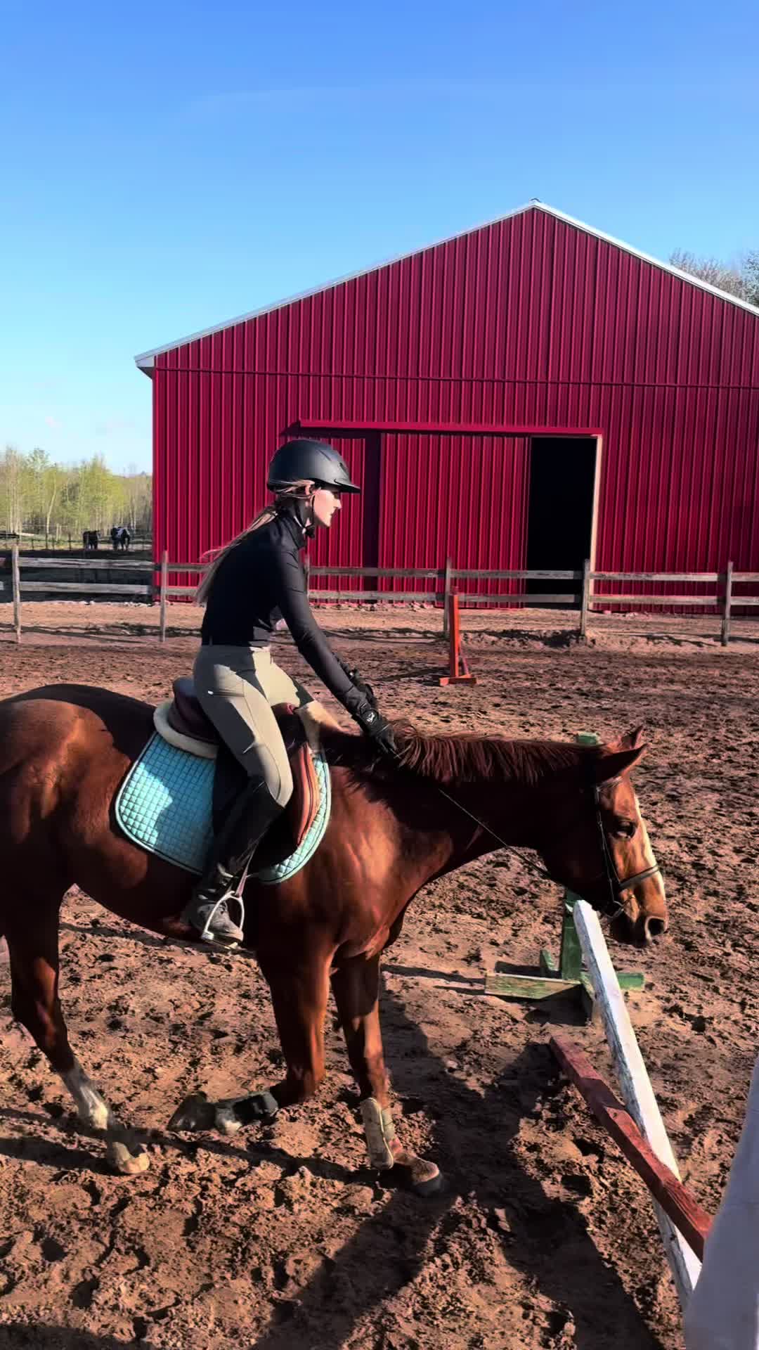 @🐎Aby 😌👌✨️
