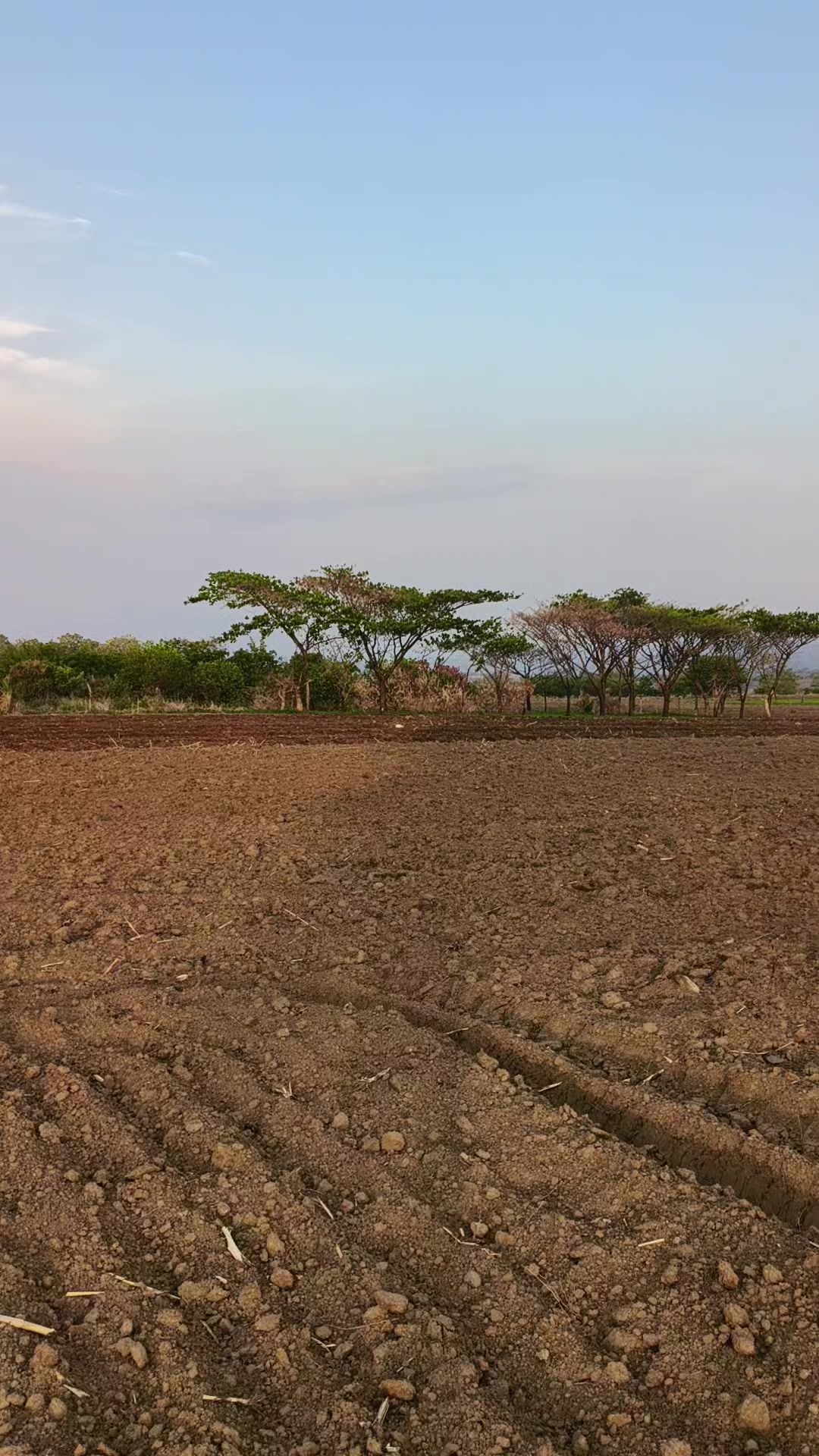 @SMAR EL SALVADOR 🇸🇻🍀
