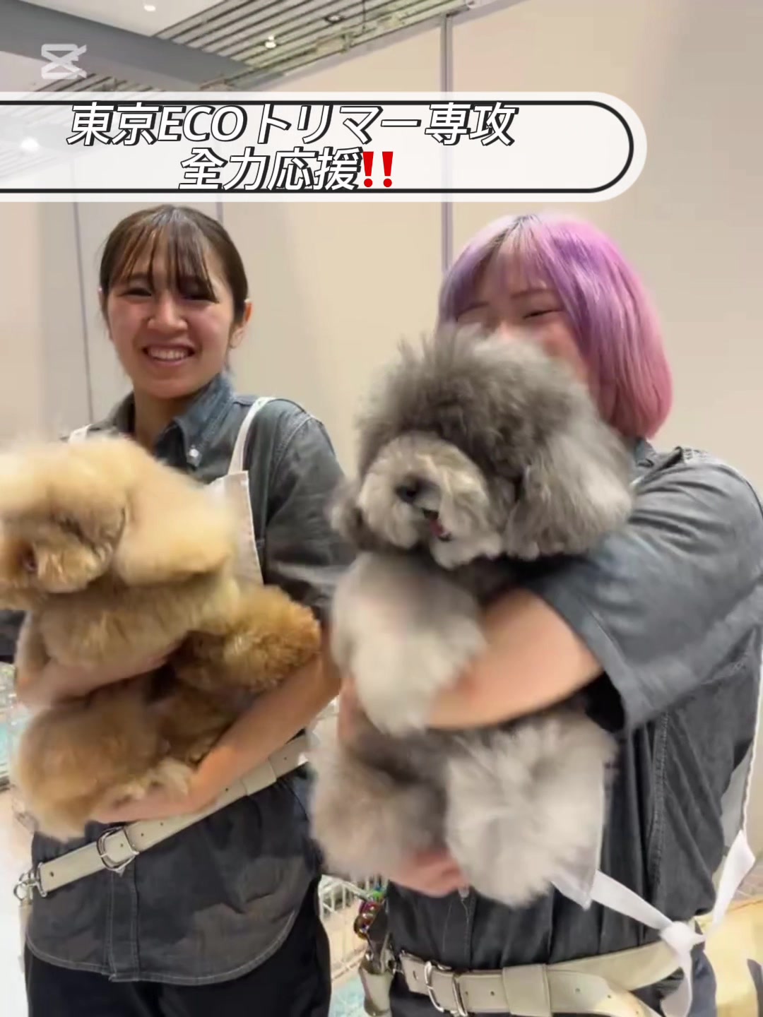 @TCA東京ECO動物海洋専門学校