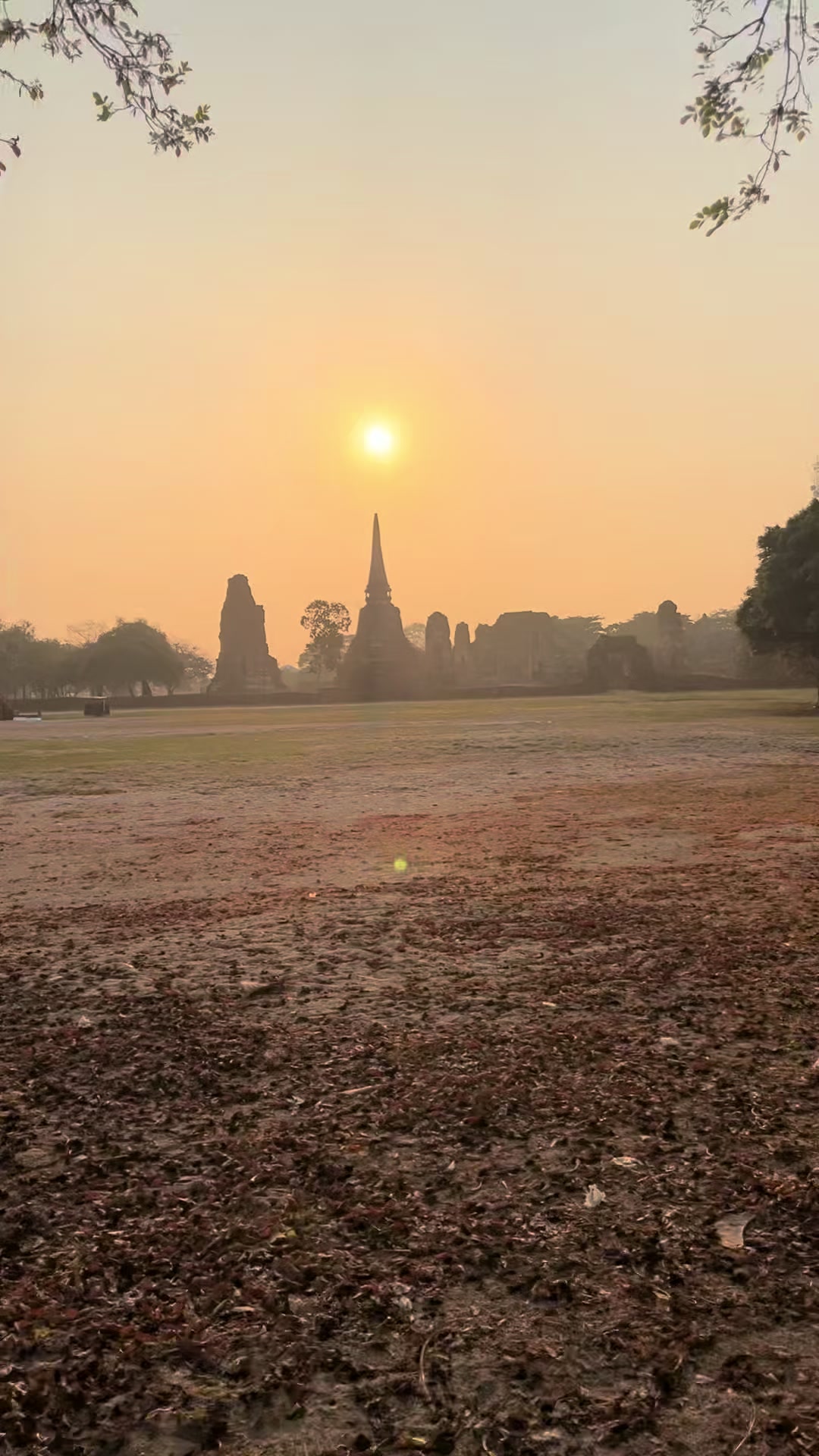 @บักนัดที่แปลว่าสัปปะรด
