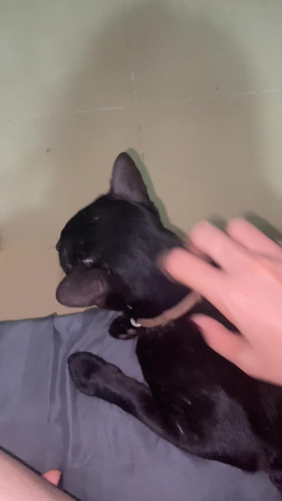 @๐ปโ๏ธ๐ฝ๐๐_แแปแ๐ค๐