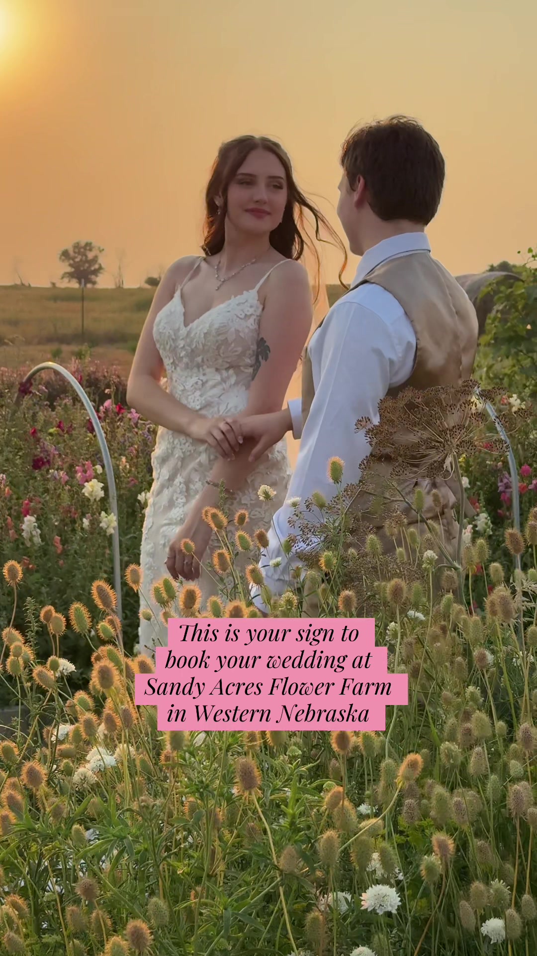 @Sandy Acres Farm
