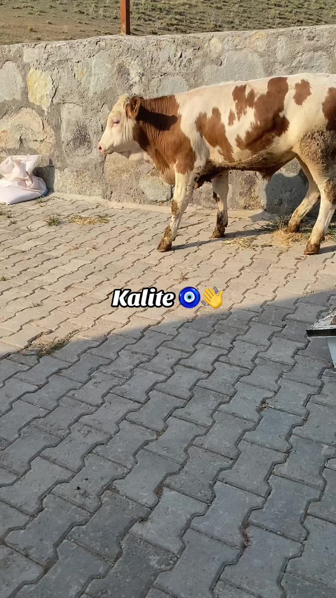 @yusuf yıldırım 04