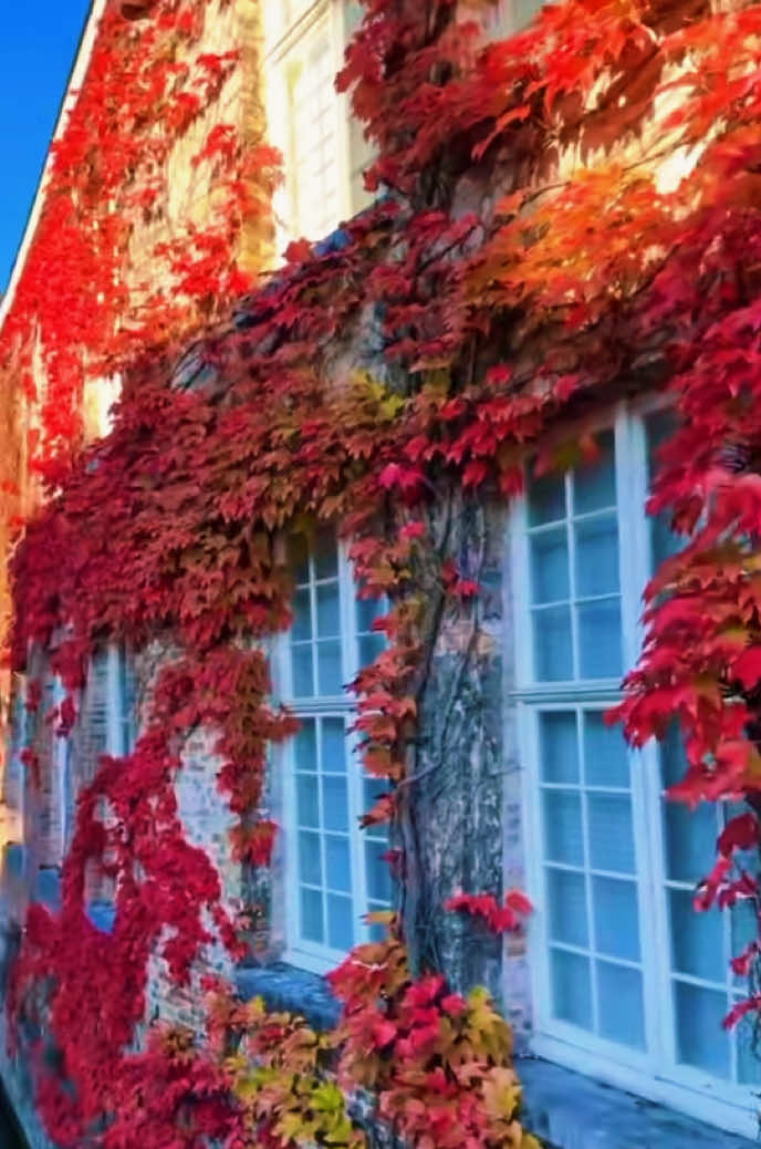 @EnjoyTravels