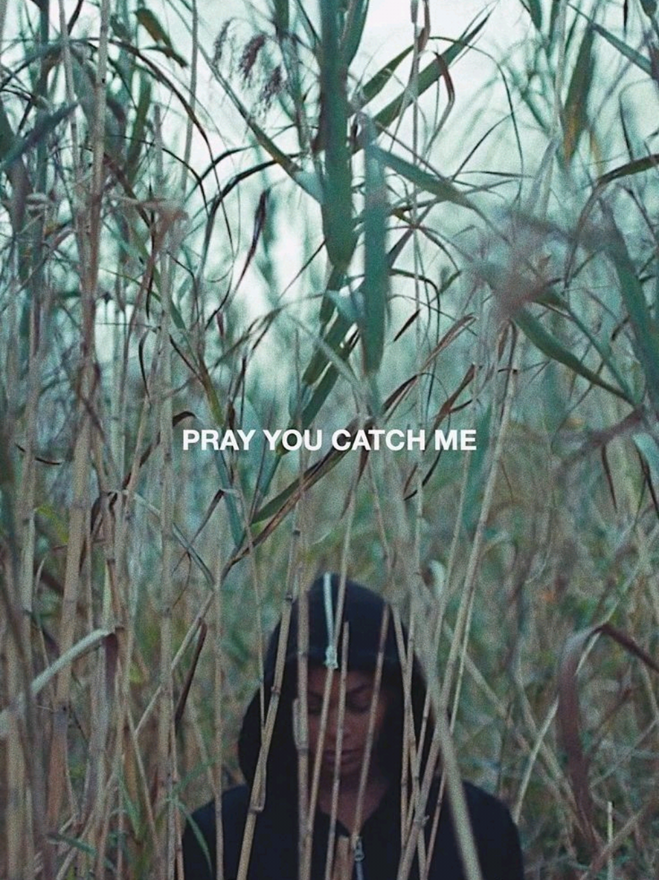 @Alien Cowboy 🤠