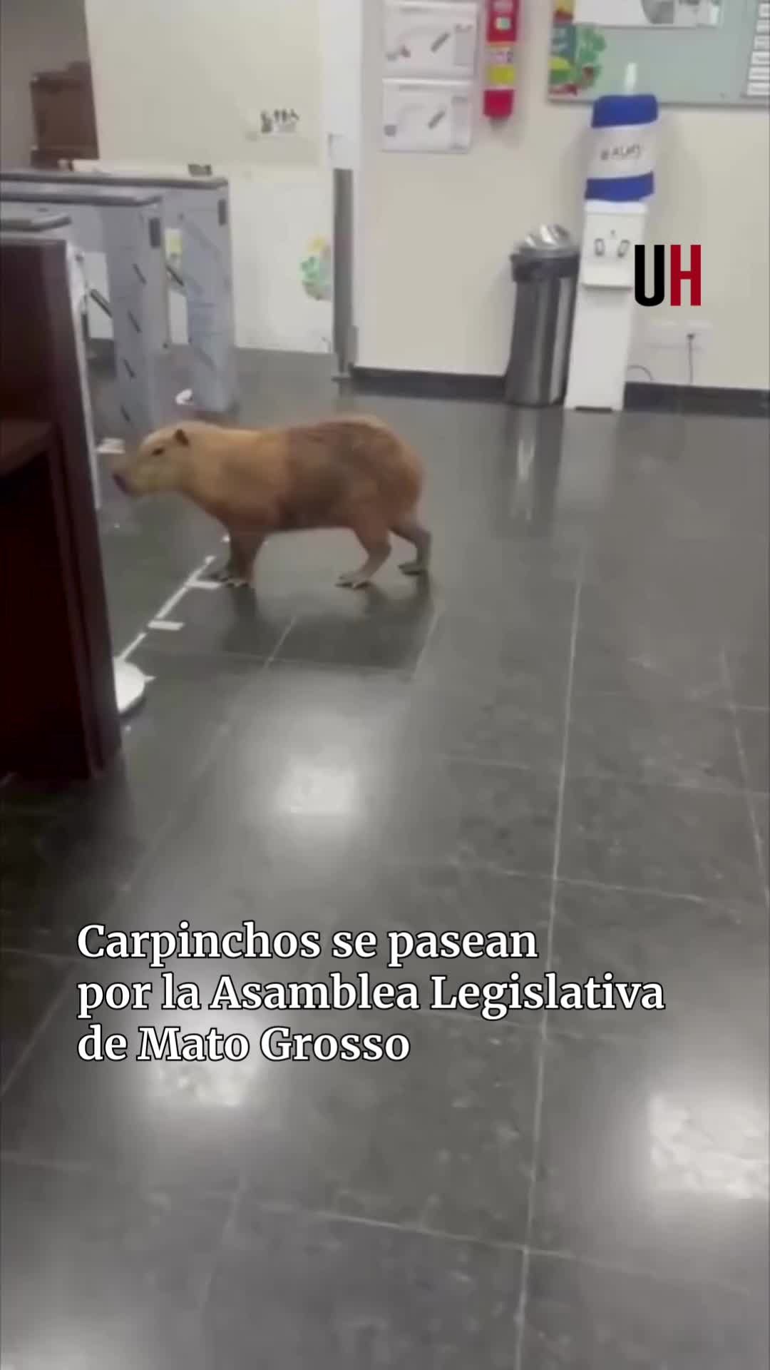 @Diario &Uacute;ltima Hora Paraguay