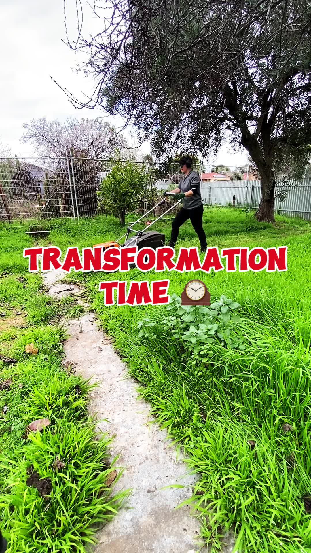 @Trusted Garden Maintenance