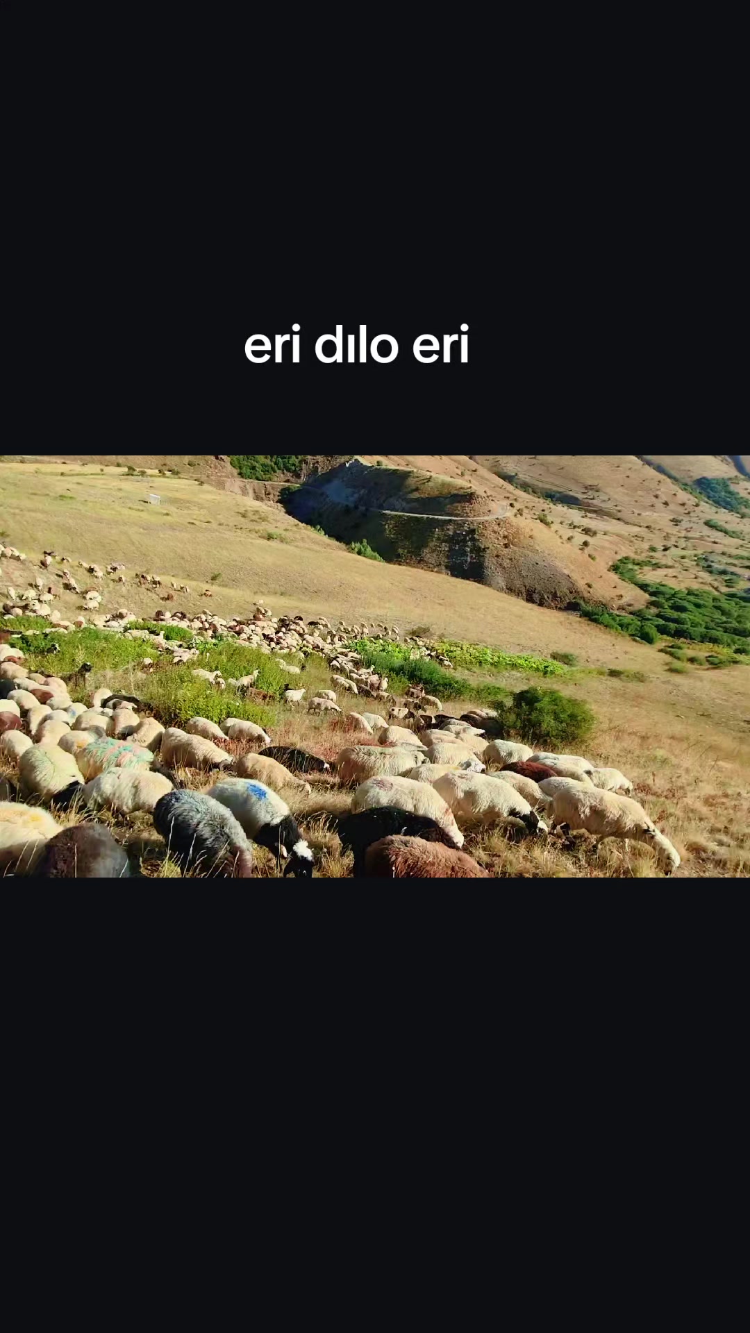 @Emrah Karapınar