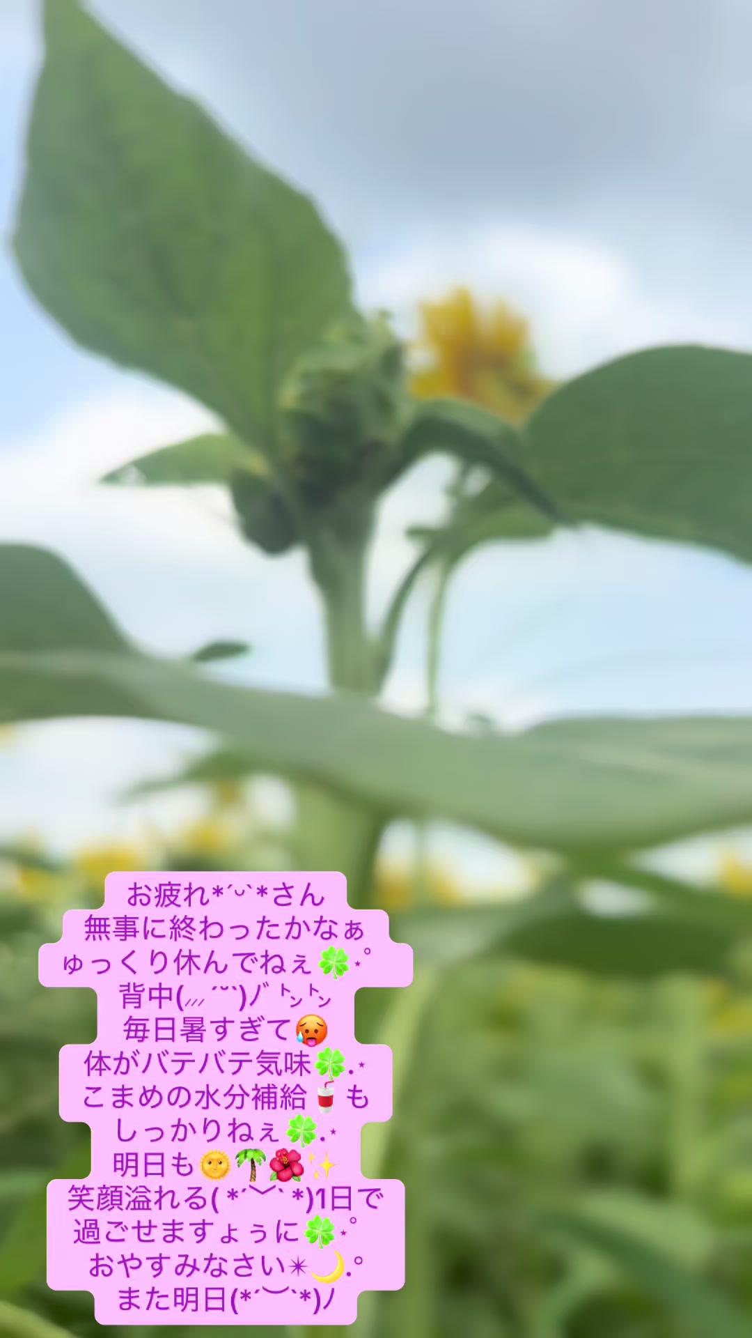 @coo~ꕤ୭*