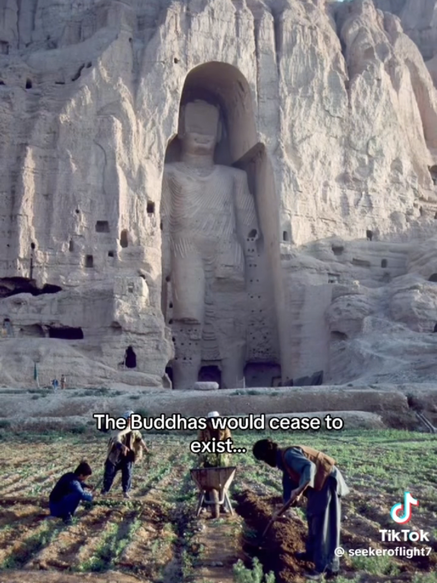 @The Forbidden House