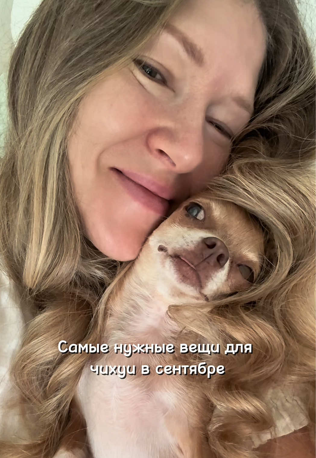 @Оксана & Чихуахуа Бонита