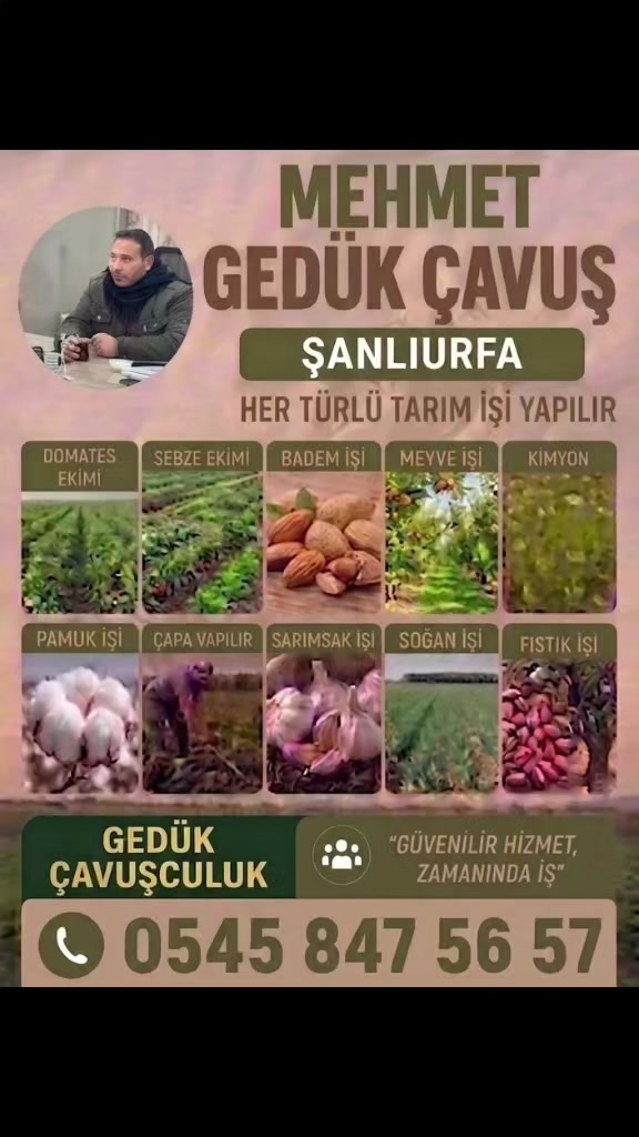@MEHMET ÇAVUŞ Urfa