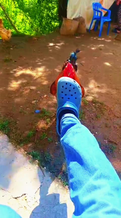 @gökhan basıc