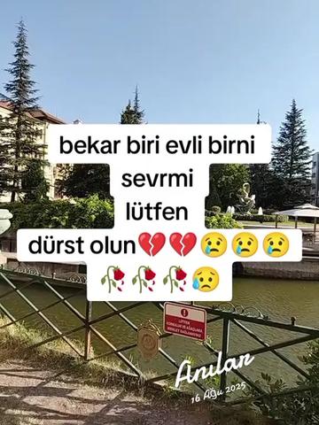 @mizgin