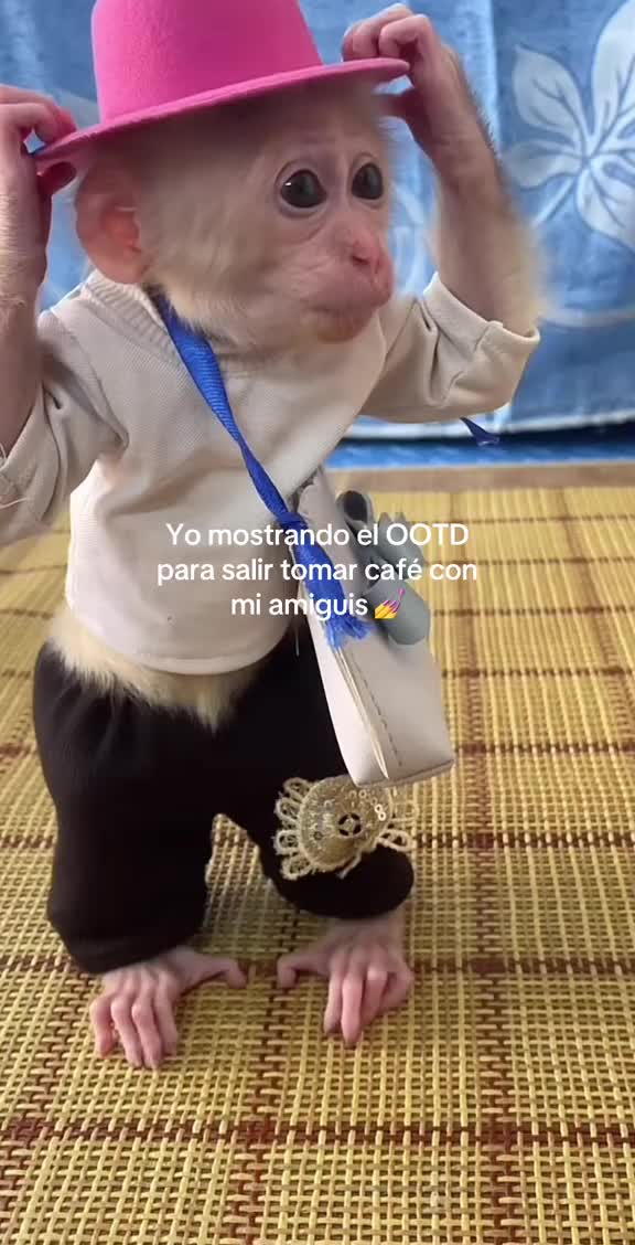 @jaremonox