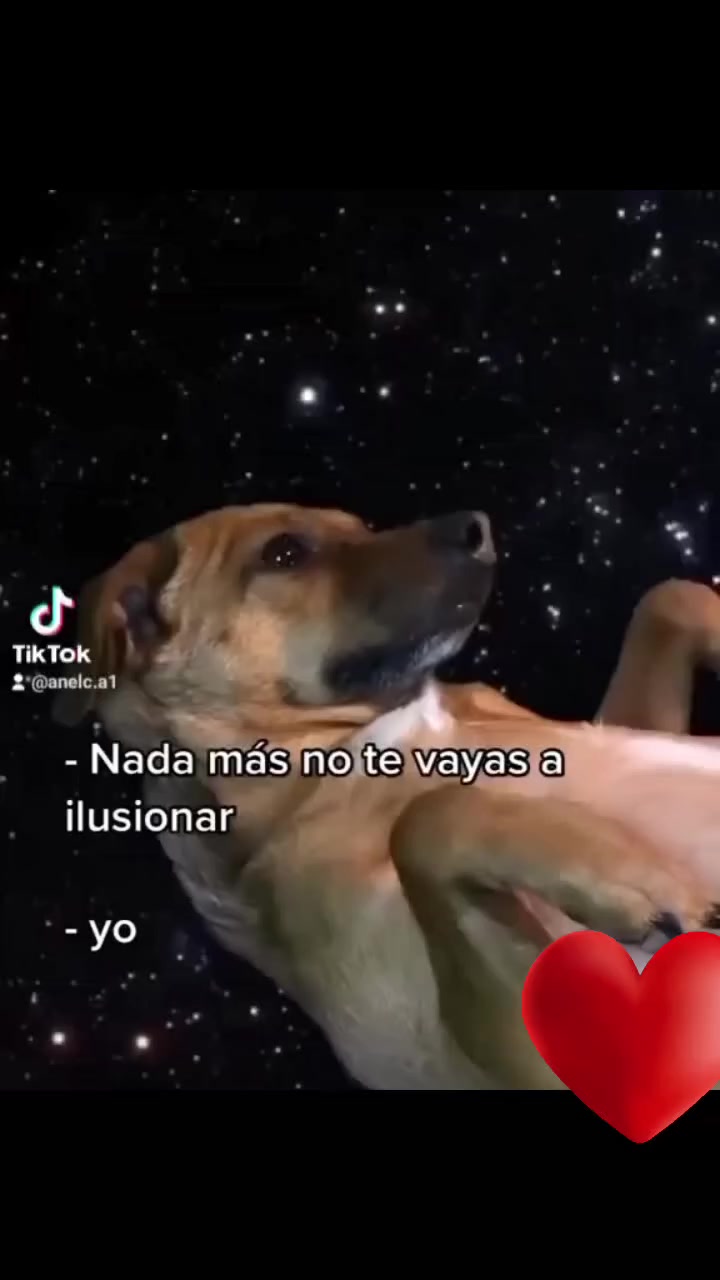 @H Luque Carina Anel