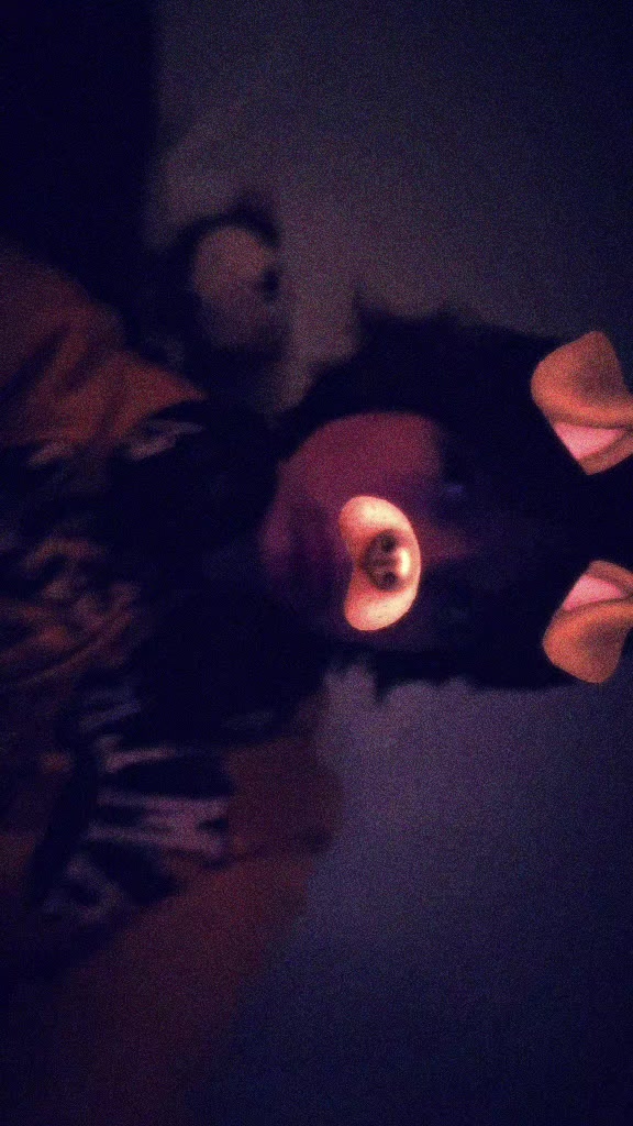 @🐕 ^ Leo ! ^ 🎈