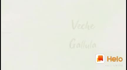 @Vicky-Lucky
