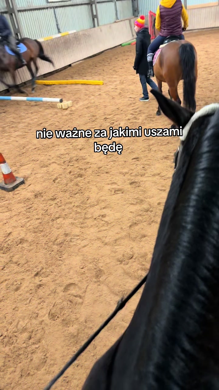 @Acrodance_horses