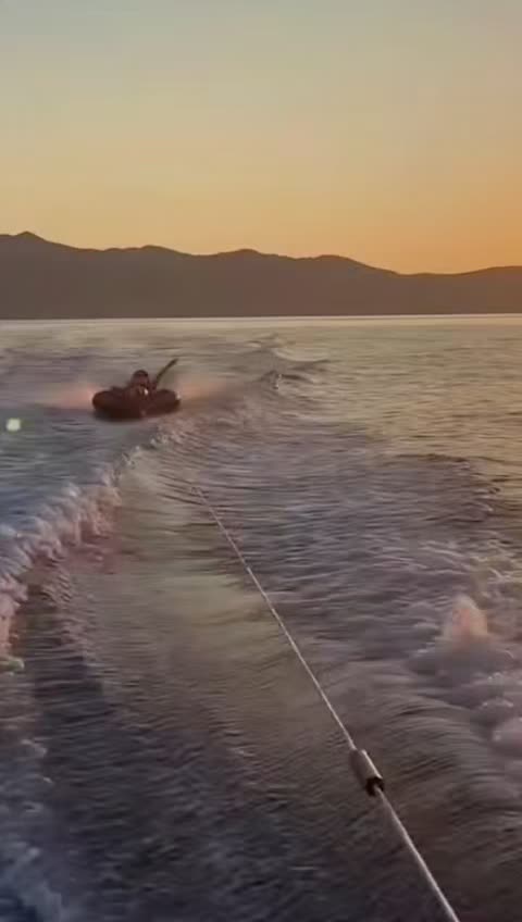 @Zalla Tlem&ccedil;ania 🇩🇿🐾