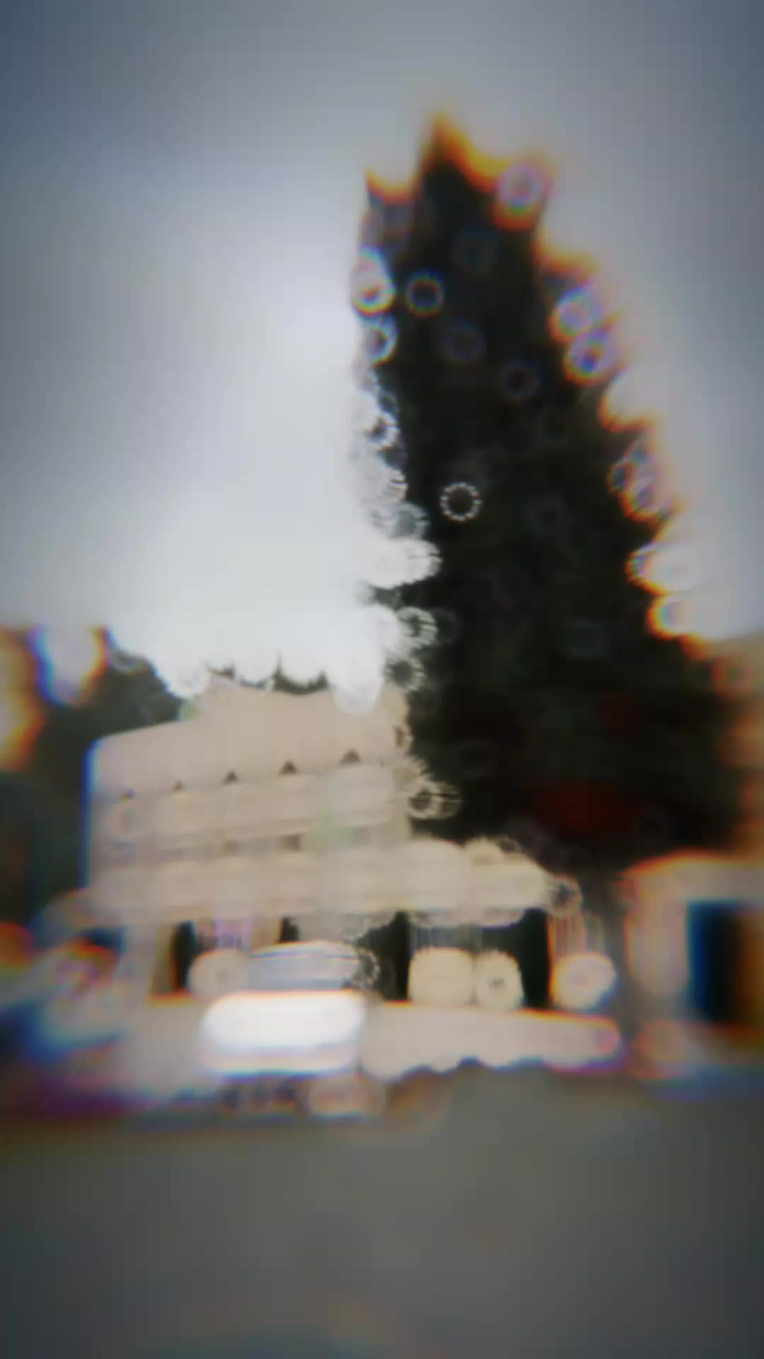 @𝙎𝙃_𝘼𝘿𝙀𝙀𝙇_